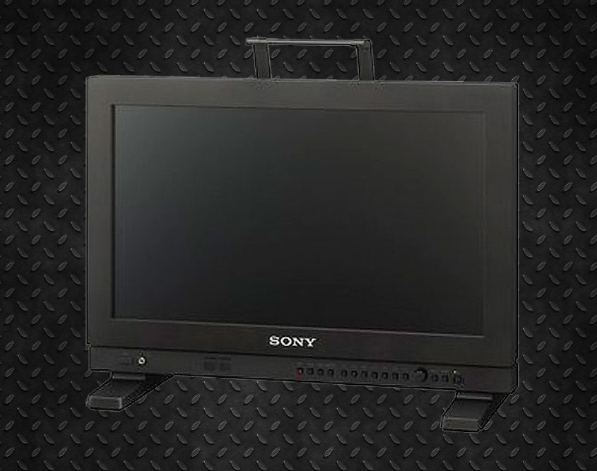 Monitor de Mesa Sony LMD-A170