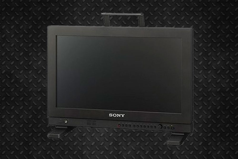 Monitor de Mesa Sony LMD-A170