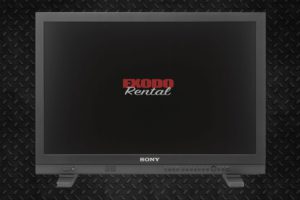 Monitor Sony LMDA240