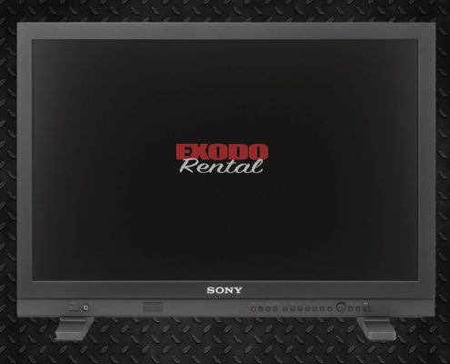 Monitor Sony LMDA240