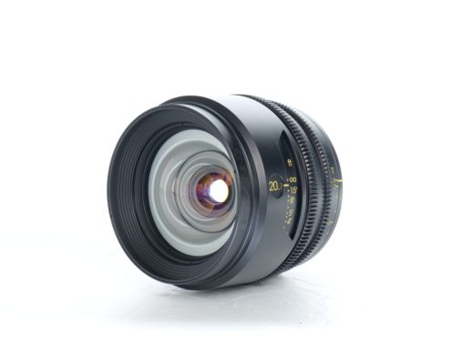 TRIBE7 BLACKWING7 FOR SALE