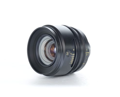 TRIBE7 BLACKWING7 FOR SALE