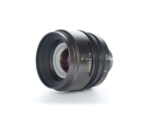 TRIBE7 BLACKWING7 FOR SALE